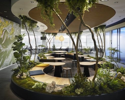 Biophilia-and-biophilic-design-header