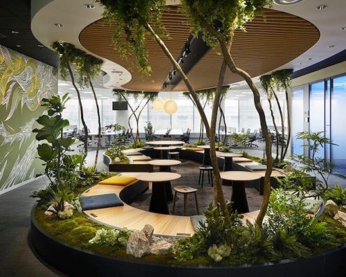 Biophilia-and-biophilic-design-header